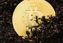 مؤسسة إيثريوم تستضيف نقاشًا مباشرًا حول الخصوصية