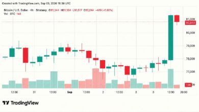 بيتكوين تتجه نحو 81 ألف دولار وسط خسائر قصيرة بـ415 مليون دولار