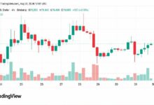 بيتكوين يحافظ على 78.5 ألف دولار مع اقتراب مكاسب أغسطس من 25%