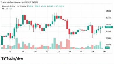 بيتكوين يحافظ على 78.5 ألف دولار مع اقتراب مكاسب أغسطس من 25%