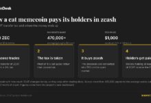 قطط الميمكوين تدفع لحامليها 2.8 مليون دولار من Zcash مع صعود ZEC فوق 1200 دولار