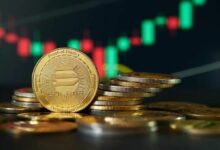 سولانا تهيمن على تدفقات الأصول الحقيقية (RWA) بجذب 348 مليون دولار كتدفقات صافية