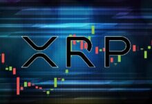 XRP يسجل اختلالًا غير طبيعي في صناديق ETF مع تفوق صناديق أمريكية مختارة على نمو العملة بنسبة 100%