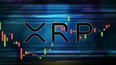 XRP يسجل اختلالًا غير طبيعي في صناديق ETF مع تفوق صناديق أمريكية مختارة على نمو العملة بنسبة 100%