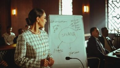 إطلاق Lido لشبكة اختبار 0x02 CSM لمُشغّلي مدققي إيثريوم