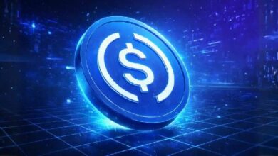 MoonPay تحصل على ترخيص مؤسسة أموال إلكترونية هولندي لإصدار عملات مستقرة باليورو في أوروبا