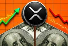 توقع سعر XRP: إلى أين يتجه القاع بعد هبوط 10% عقب قرار الفائدة؟