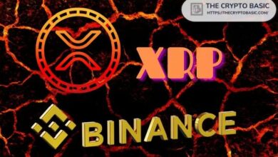 في أسبوع، 500 مليون XRP تغادر بينانس مع انخفاض احتياطيات البورصة إلى مستويات 2024