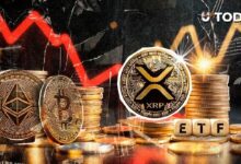 تفوق XRP على بيتكوين وإيثيريوم وسولانا في أداء صناديق ETF