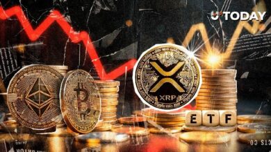 تفوق XRP على بيتكوين وإيثيريوم وسولانا في أداء صناديق ETF