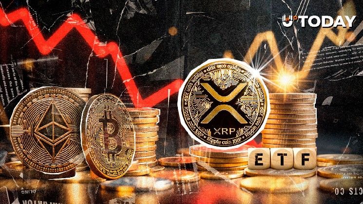 تفوق XRP على بيتكوين وإيثيريوم وسولانا في أداء صناديق ETF