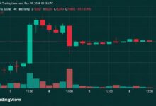 سعر البيتكوين يواجه حاجز 82 ألف دولار مع تلاشي زخم عطلة نهاية الأسبوع
