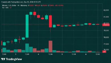 سعر البيتكوين يواجه حاجز 82 ألف دولار مع تلاشي زخم عطلة نهاية الأسبوع