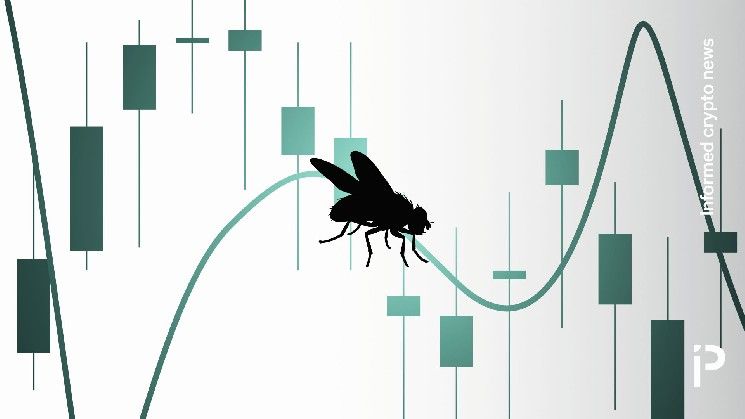 ذبابة تتداول العملات الرقمية الآن بخسارة 1% فقط
