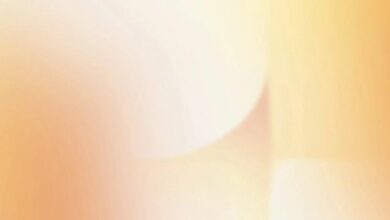سولانا ترتفع مع اعتماد PhoenixTrade لعملة SOL في التداول بالهامش