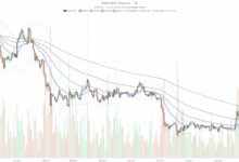 رسوم منصات DEX على شبكة أفالانش ترتفع 208% مع استقرار سعر AVAX دون 8.19 دولار