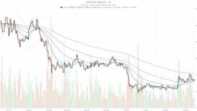 رسوم منصات DEX على شبكة أفالانش ترتفع 208% مع استقرار سعر AVAX دون 8.19 دولار