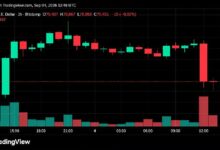 انخفاض حاد في سعر البيتكوين من 82 ألف دولار.. و78 ألف دولار تصبح خط الدفاع الأخير