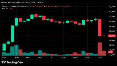 انخفاض حاد في سعر البيتكوين من 82 ألف دولار.. و78 ألف دولار تصبح خط الدفاع الأخير