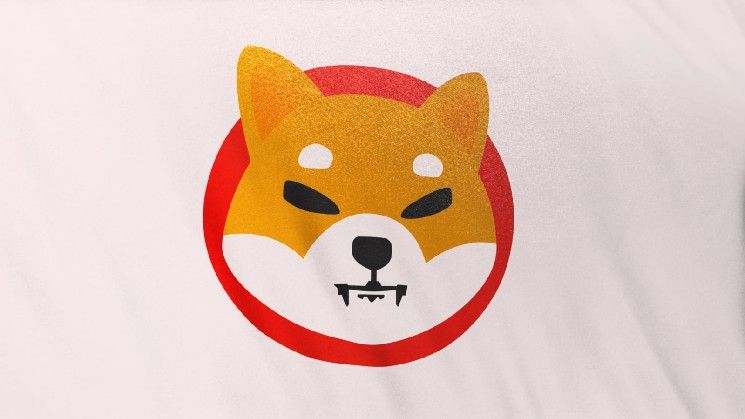 ظاهرة SHIB في سيول: الطلب الكوري ينافس سيولة Binance الفورية لعملة Shiba Inu